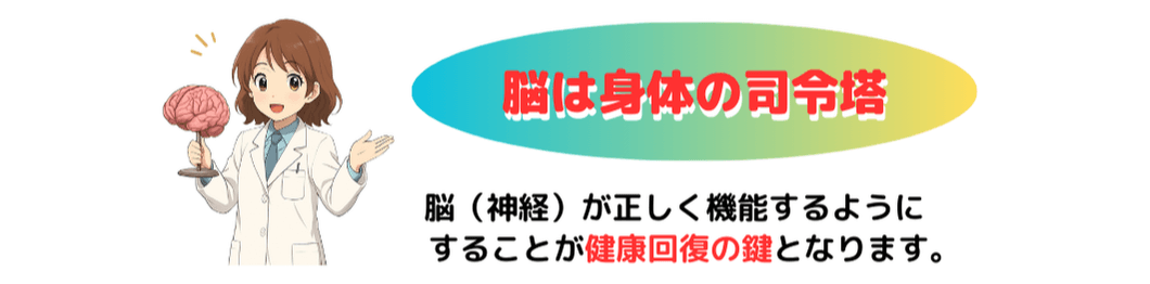 脳は身体の司令塔